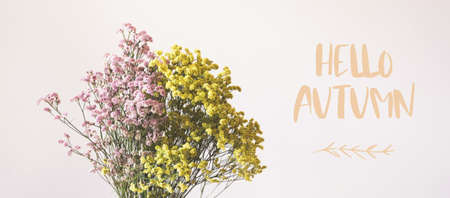 Dried pink and yellow flowers in white vase against white wall. Home interior autumn decor banner...