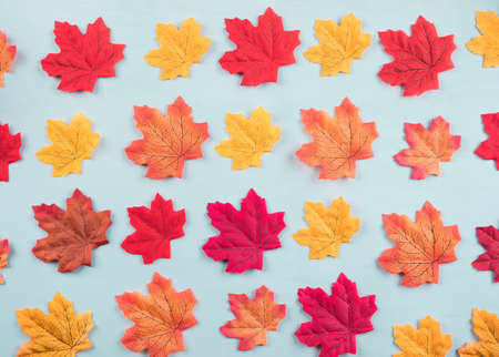 Colorful pattern of autumn maple leaves on blue turquoise background. Seasonal flat layの写真素材