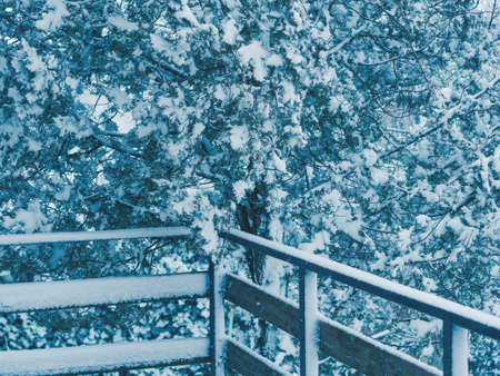 Winter tree branches covered with snow seen from the house porch. Seasonal holidays moodの写真素材