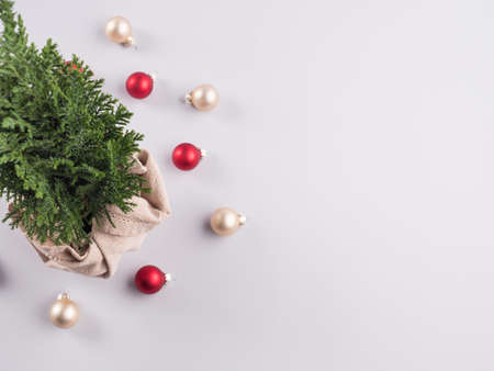 Christmas tree plant as gift wrapped in textile on gray background with Christmas ornament red and golden bauble.の写真素材
