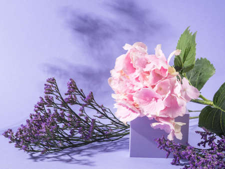 Spring summer floral podium scene on purple background with pink hortensia