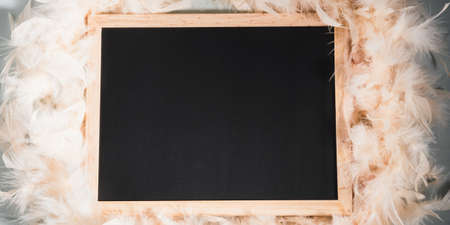 Trendy yellow feather frame and blackboard on turquoise backgroundの写真素材
