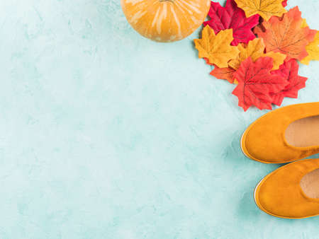 Yellow mustard flat shoes with autumn leaves and pumpkin, seasonal frame background.の写真素材