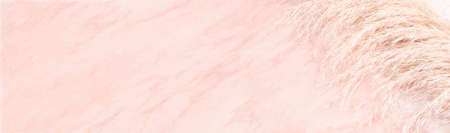 Pink pastel marble table background with trendy pampas grass, web banner