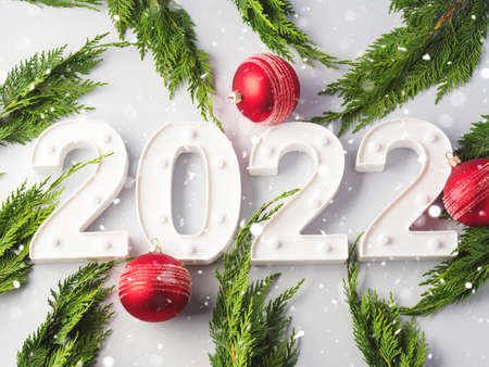 New year 2022 numbers with green branches on gray background