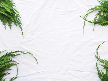 Winter green fir tree branches frame white sheet backgroundの写真素材