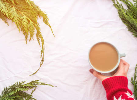 Winter cozy mug of coffee on branches background with handsの写真素材