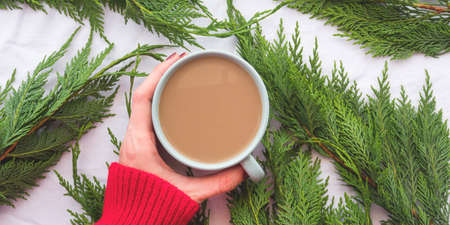 Winter cozy mug of coffee on branches background with handsの写真素材