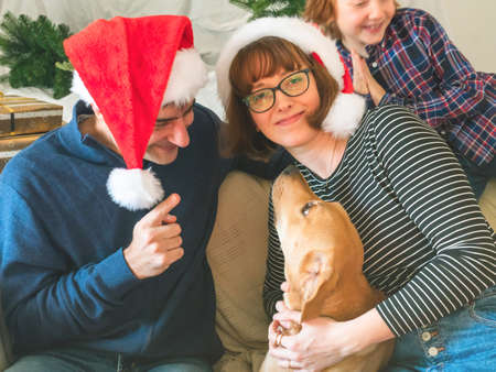 Mother, dad, son in santa caps and dog on christmasの写真素材