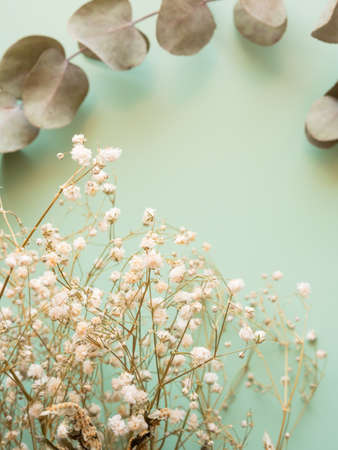 Bunch of dried flowers and eucaliptus branches on green backgroundの写真素材