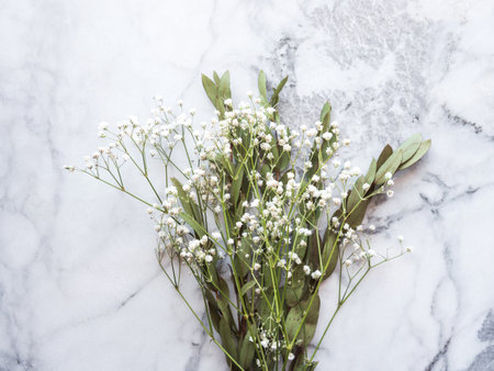 Bunch of dried flowers and eucaliptus branches on marble background