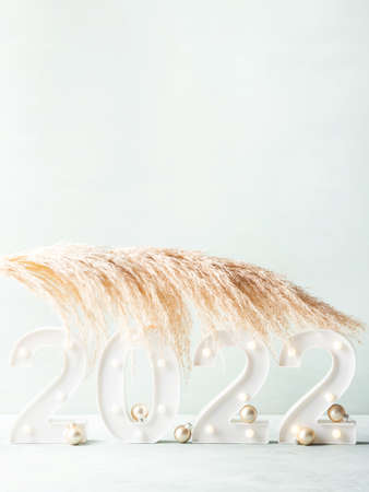 New year 2022 lights numbers with pampas branch, golden decor