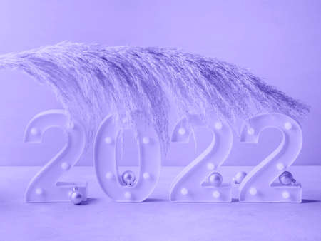 Purple new year 2022 lights numbers with pampas branch.の写真素材