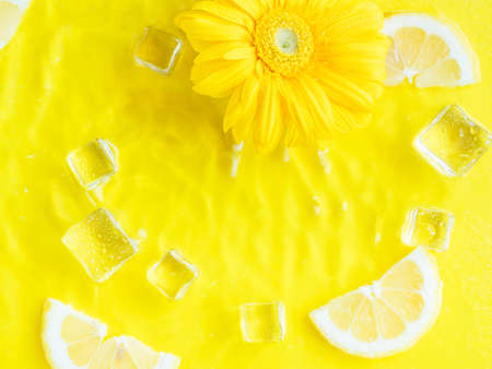 Vibrant yellow lemon citrus slice background with ice cubes, flowersの写真素材