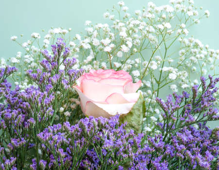 Pink rose with purple white flowers on pastel green backgroundの写真素材