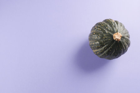 Green pumpkin on purple backgroundの写真素材