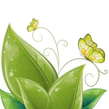 Green leaves design with butterfly, vector illustration, eps-10のイラスト素材