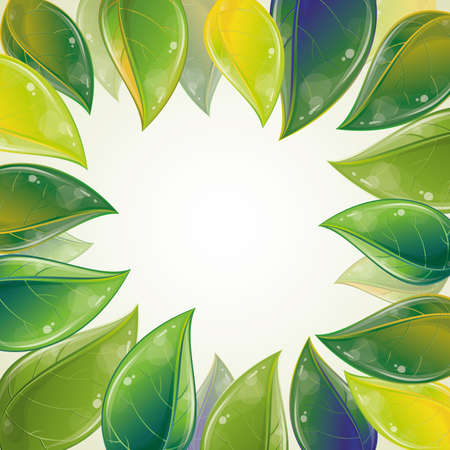 Spring leaves frame, vector illustration, eps-10のイラスト素材