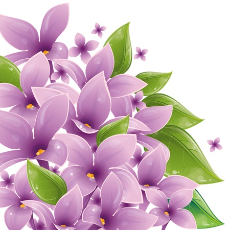 Floral design with lilac, vector illustration, eps-10のイラスト素材