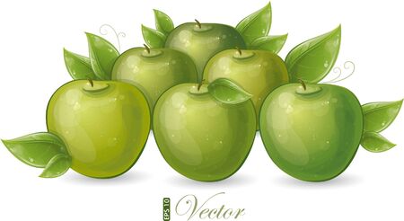 Green apples and leaves, vector illustration, eps-10のイラスト素材