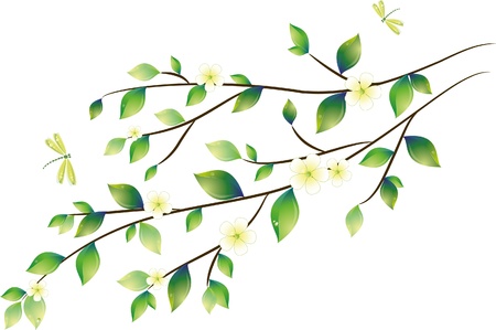 Green leaves with dragonfly, vector illustration, eps-10のイラスト素材