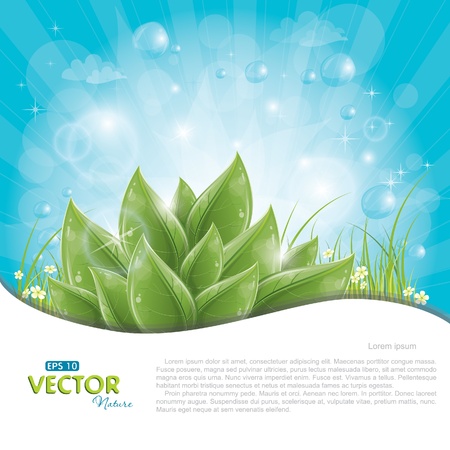 Green leaves against blue sky, vector illustration, eps-10のイラスト素材