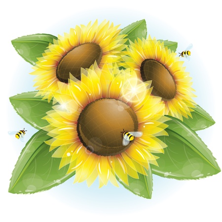 Beautiful sunflowers and green leavesのイラスト素材