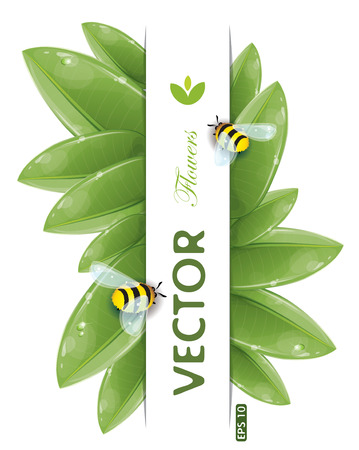 Green leaves design with flying bees isolated on white, vector illustration, eps-10のイラスト素材