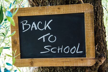 slate table back to schoolの写真素材
