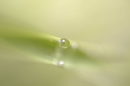 Water drop effect textureの写真素材