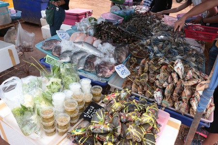 Fresh seafood you can see in the market in Thailand. Especially in the seaside province. In each area, there will be variety and some differences of seafood. But most of them are not different.の写真素材
