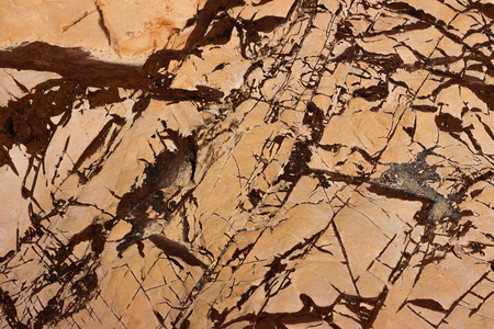 Natural texture on the rock.の写真素材