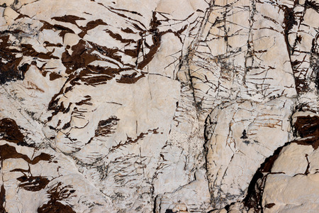 Natural texture on the rock.の写真素材