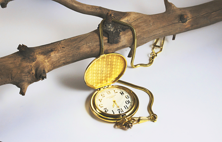 Open gold pocket watch against a white background with a fob chain hanging off a tree branchの写真素材