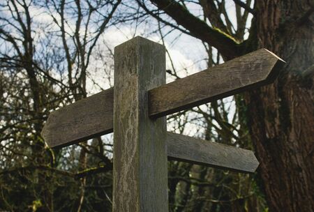 Traditional wooden signpost with blank arrows pointing in different directions in the forestの写真素材
