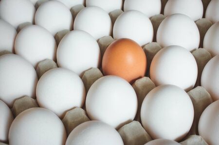 A brown egg standing out amongst a group of white eggs in a cartonの写真素材