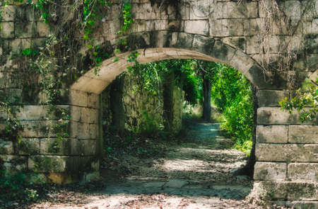An old stone archway in the middle of a forestの写真素材