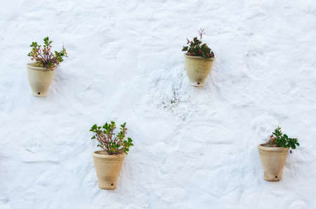 Traditional ceramic pot plants hanging on a white wall