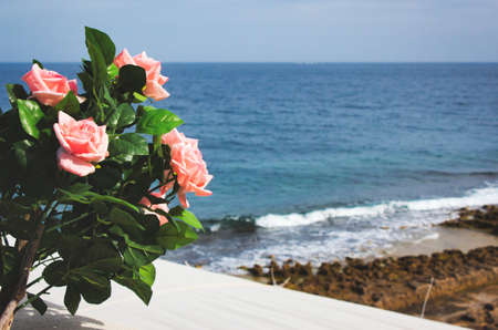 Pink roses on a balcony against a beach scene background with blue skyの写真素材