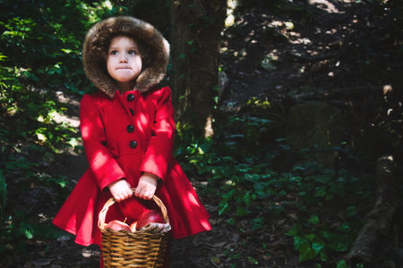 Little Red Riding Hood in a dark forest with a traditional picnic basket with copy space for textの写真素材