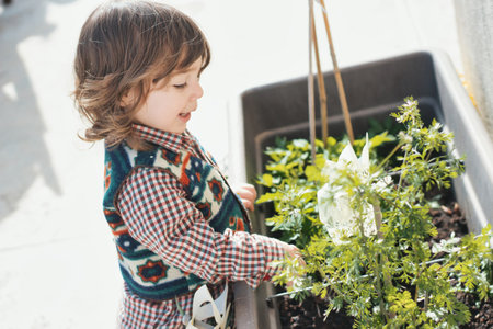 A young white Caucasian boy playing with the soil in a planter pot with green leaves growingの写真素材