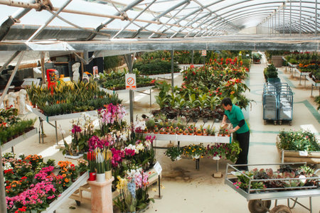 Wide-angle shot of a garden center, with plants and flowers for saleのeditorial素材