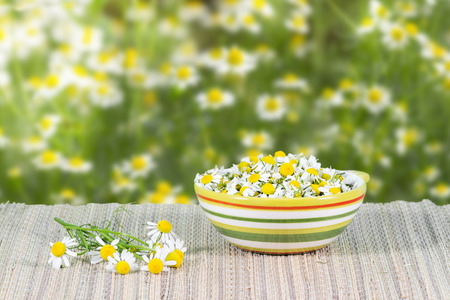 assembled chamomile flowers in ceramic cup on a background of chamomile flowers at sunny dayの写真素材