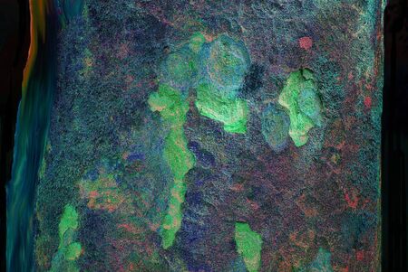 Trees  skinの写真素材