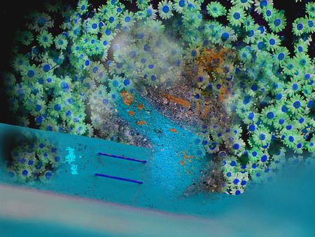   Blue  flash.        の写真素材