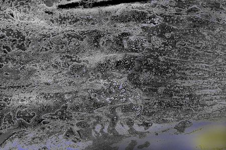 Murmur.の写真素材