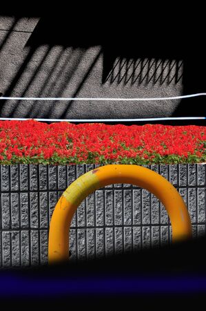 Shadow  landscape.の写真素材