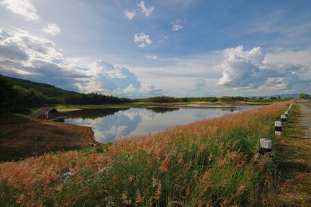 Pond near SuThep mountain Chiangmai Thailandの写真素材