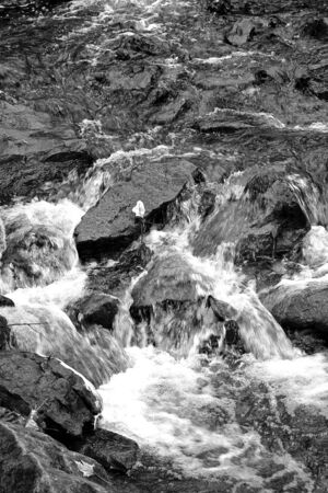 The fast streamの写真素材