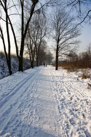 Winter in the parkの写真素材